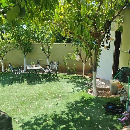 B&B Amit 18 Minutes From The Airport - אירוח כפרי עמית 18 דקות משדה תעופה Petach Tikva Exterior foto